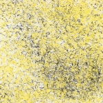 09-yellow-and-black