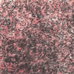 11-red-and-black
