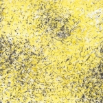 13-shine-in-yellow