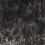 23-seaweed-series-2-2