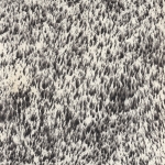25-valley-view-series-2-2