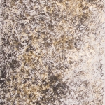 dsf0532-1