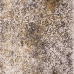 dsf0532-2