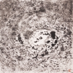 dsf0556