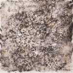 dsf0561