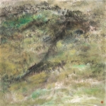 2017-007